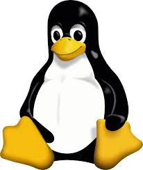1991 Linux Club image